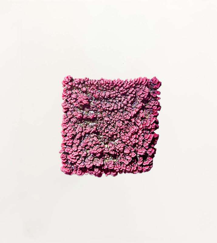 Foto COTTON CORAL, candy