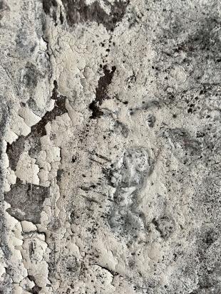 Detailfoto granite