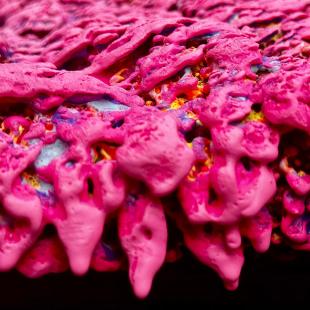 Detailffoto SUGAR PEARL