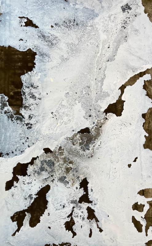Foto Terra Preta 1 - Verkauft