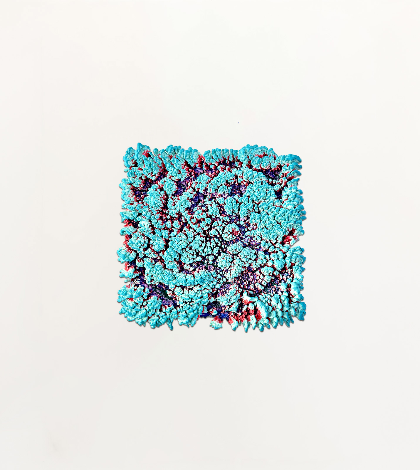 Foto Cotton CORAL minty